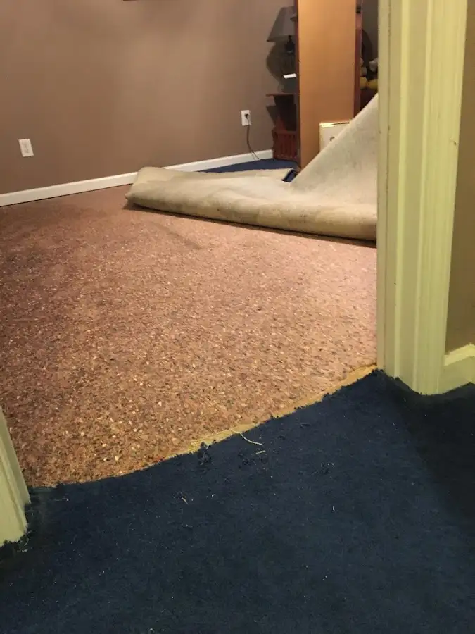 Carpet pad removal revealing water damage during Water Mitigation Services in Longmont